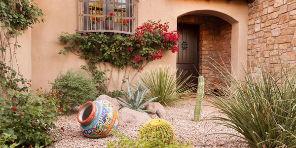A desert-style garden with cacti, a colorful pot, and a rustic doorway.