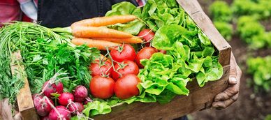 Colorful vegetables at our farm stand.