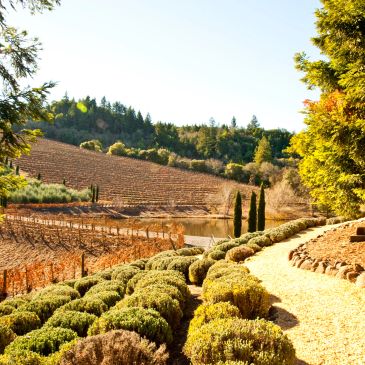 Yamhill Counties Premium Estate and Winery Landscaping Crew