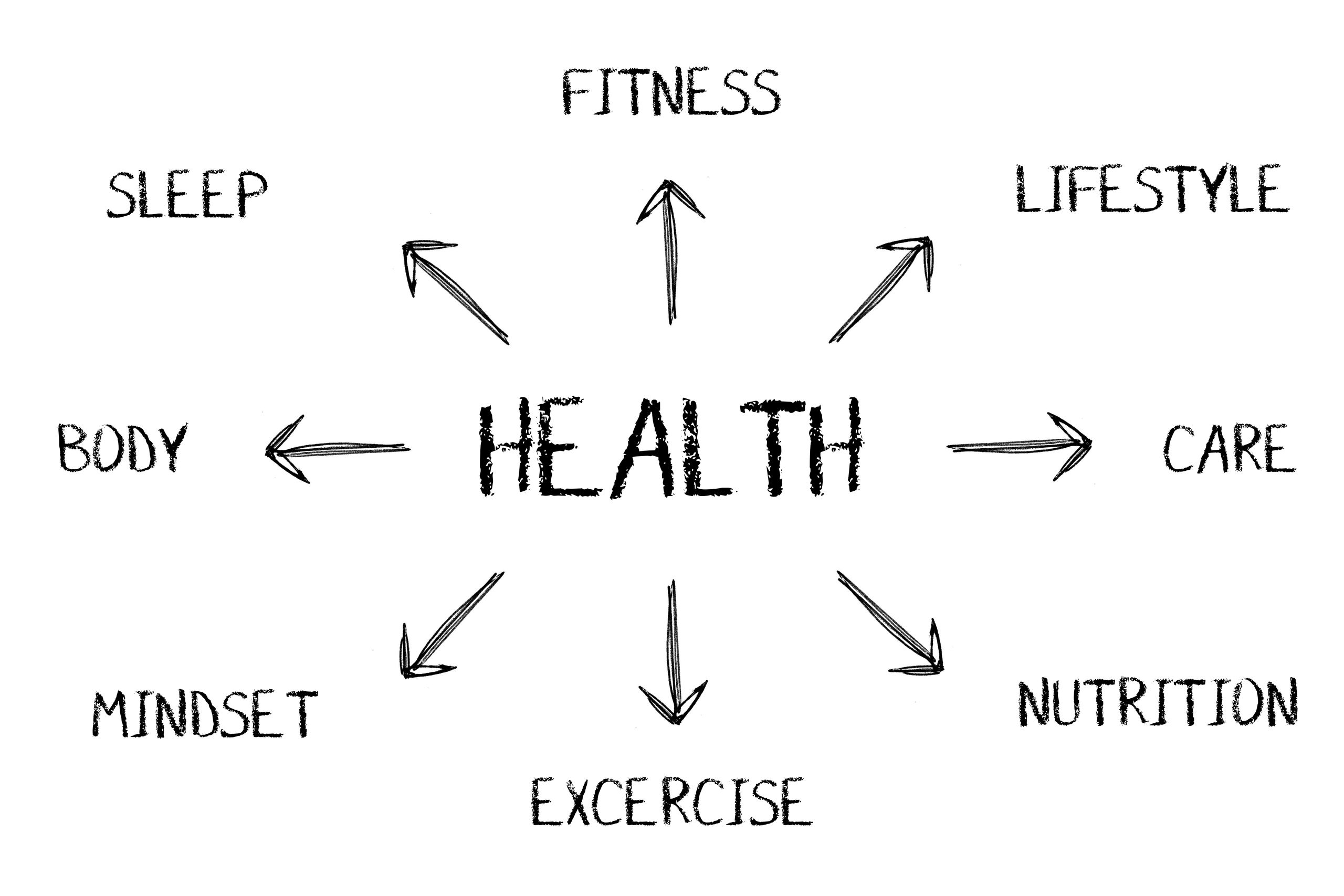Diagram showing key aspects contributing to health.