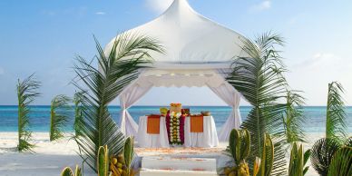 Wedding altar on a beach under a white canopy.