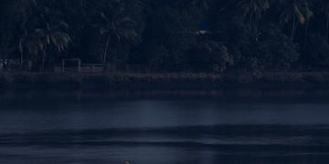 Calm river scene at night with silhouetted trees along the shore.