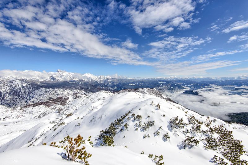 Beautiful view from Vogel Ski resort
