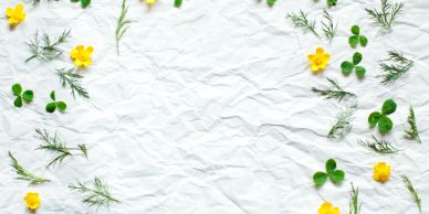 Yellow flowers and green leaves on crumpled white paper.