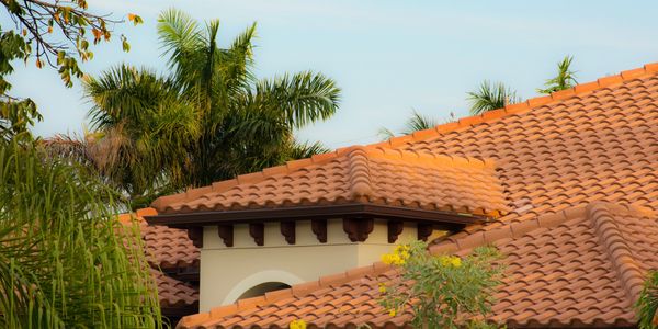 Terracotta tiled roof on a house surrounded by palm trees and greenery.