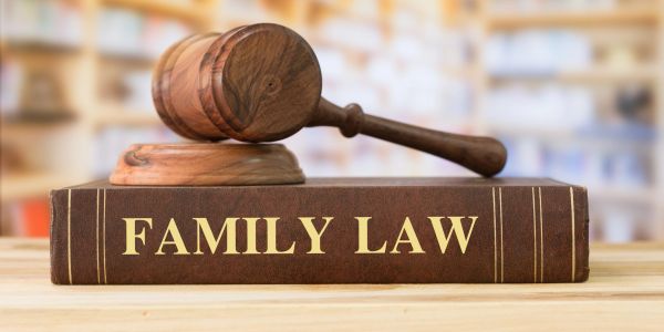 Wooden gavel on a family law book.