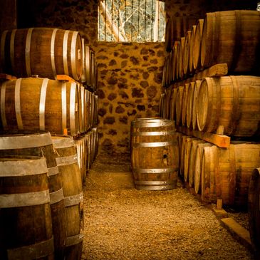 Rows of wooden barrels stored in a dimly lit cellar.