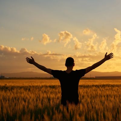 Person with arms raised in a field at sunset worshipping God's beautiful creation.