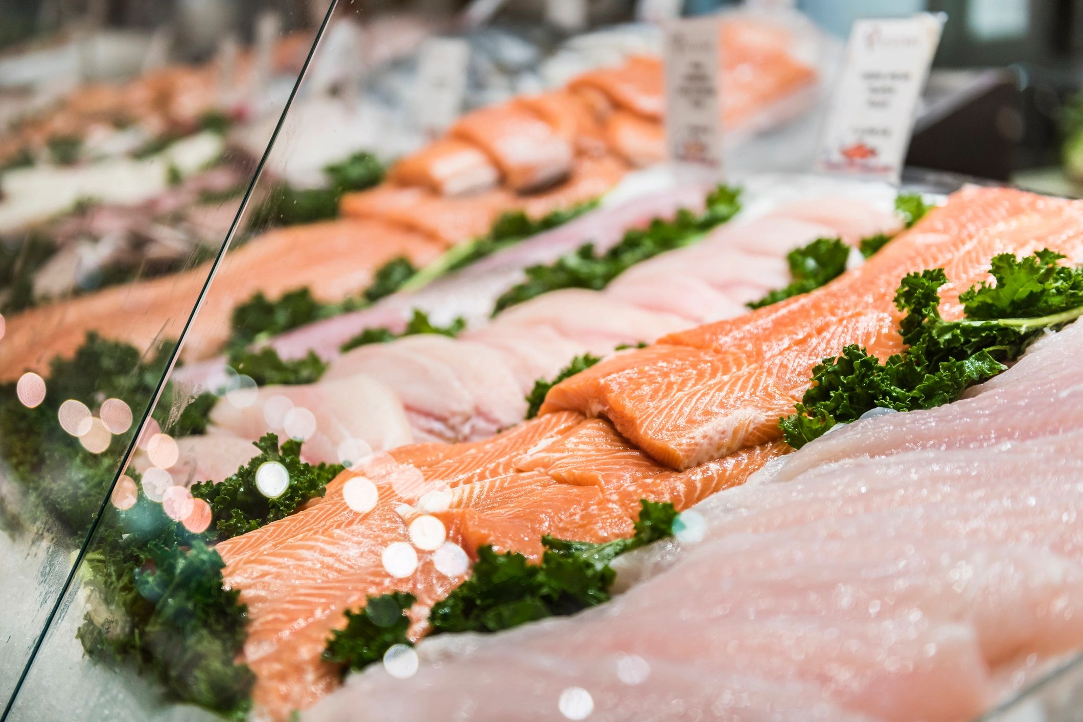 A.P. Fish Company, Inc.