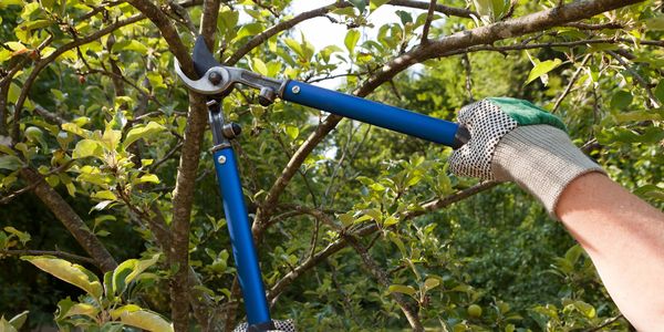 Spring and Fall clean-up in Boise, ID