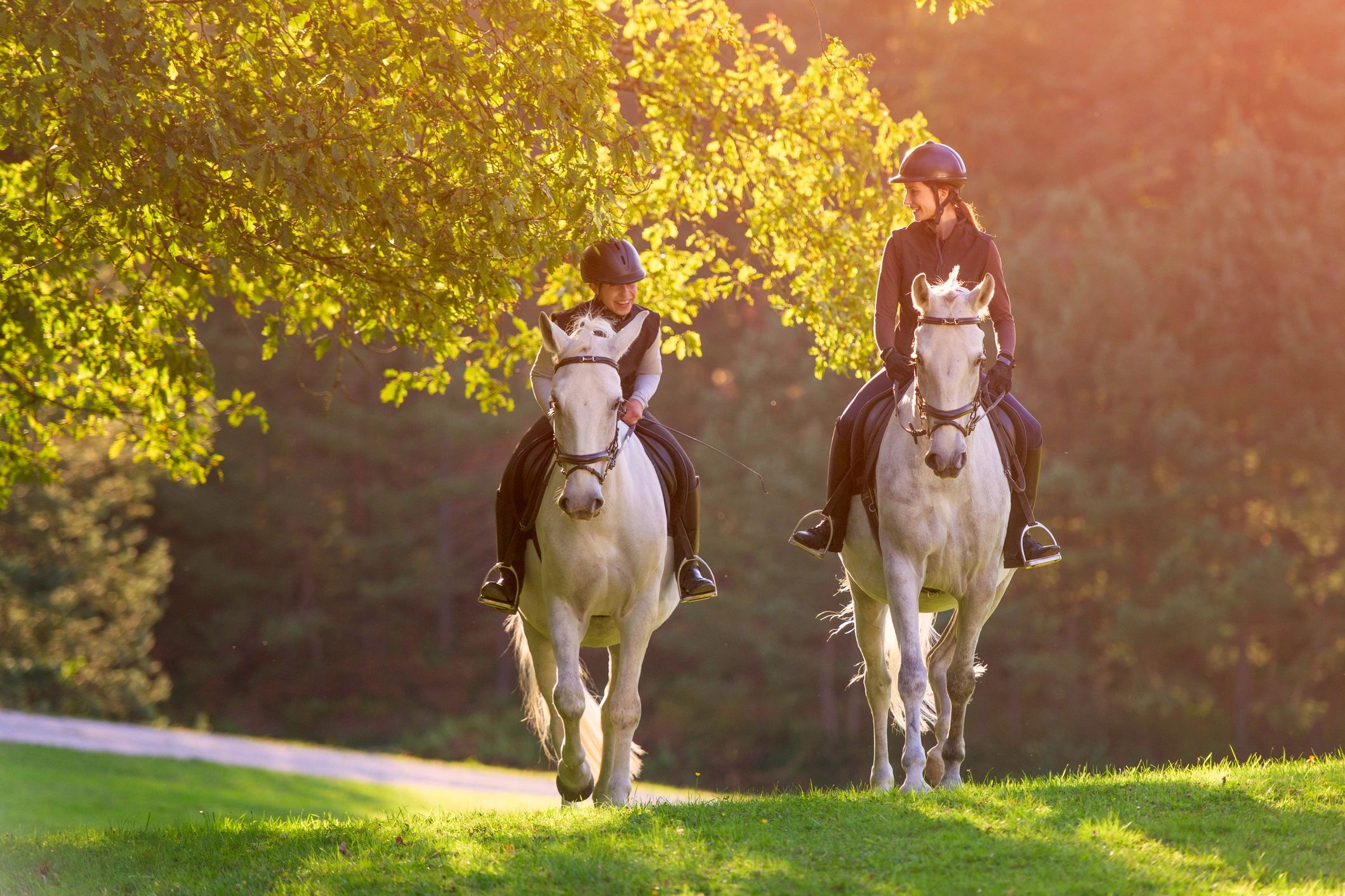 Two people horseback riding in sunlight.