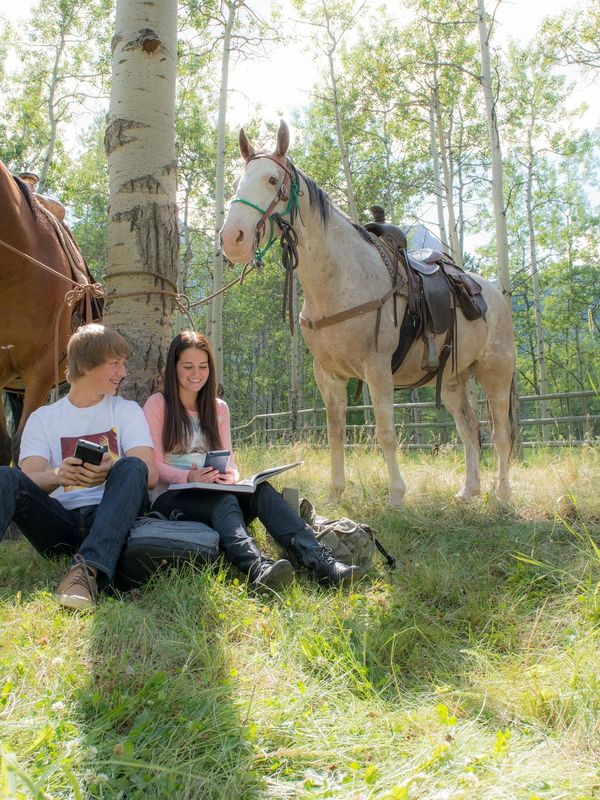 Two people sitting on grass with horses nearby in a forest.