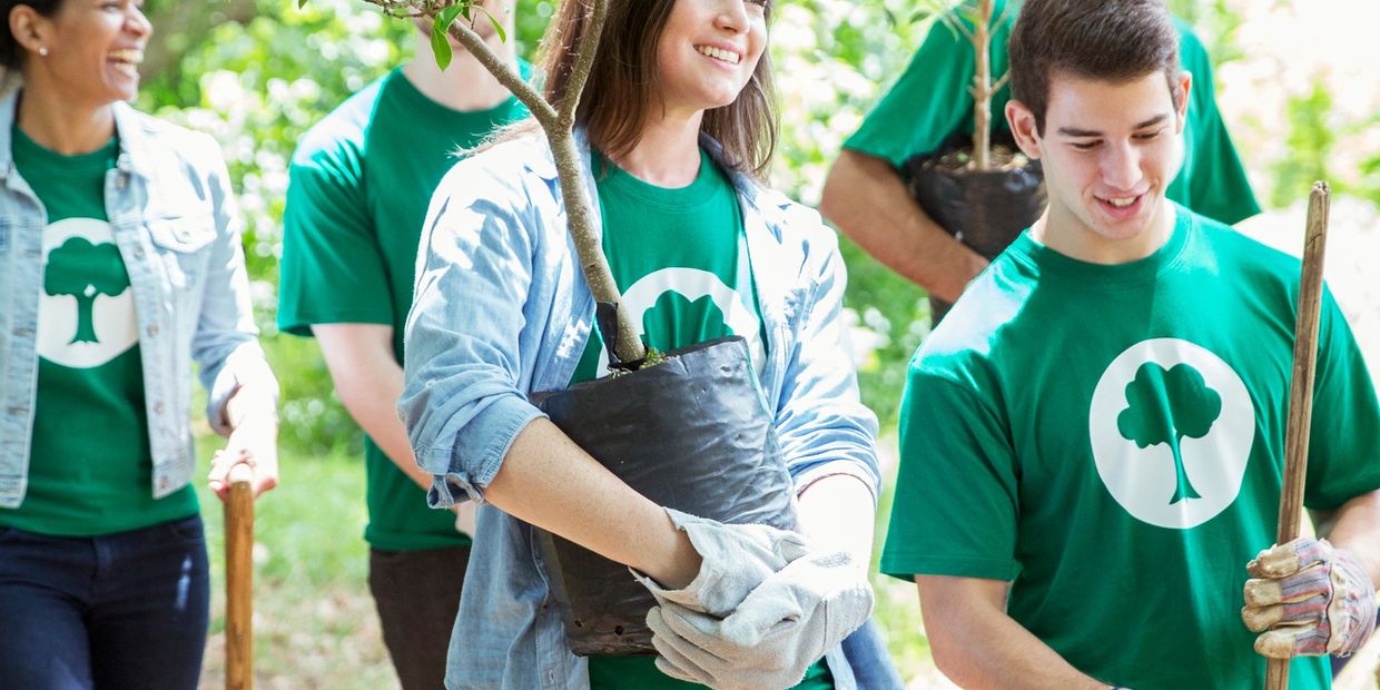 Group of volunteers planting trees in a park, wearing green shirts with tree logos.