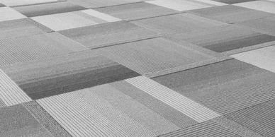 Grey patterned carpet tiles for a commercial office 