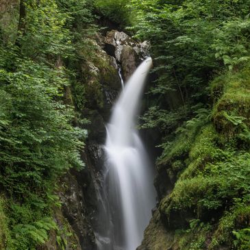 A serene waterfall flowing through lush green forest.