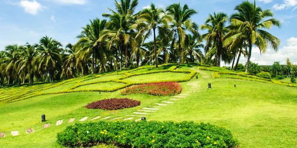 A vibrant garden hill with palm trees and colorful flower beds under a clear blue sky.