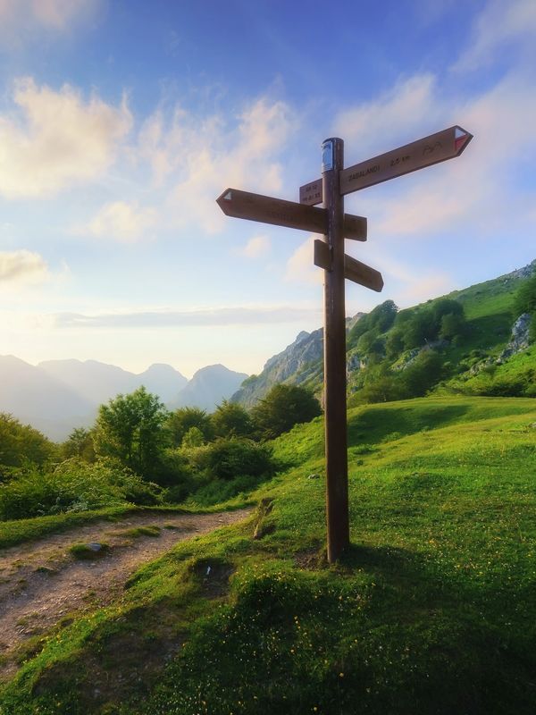 A wooden signpost representing how Autism & ADHD counselling helps adults, couples & families