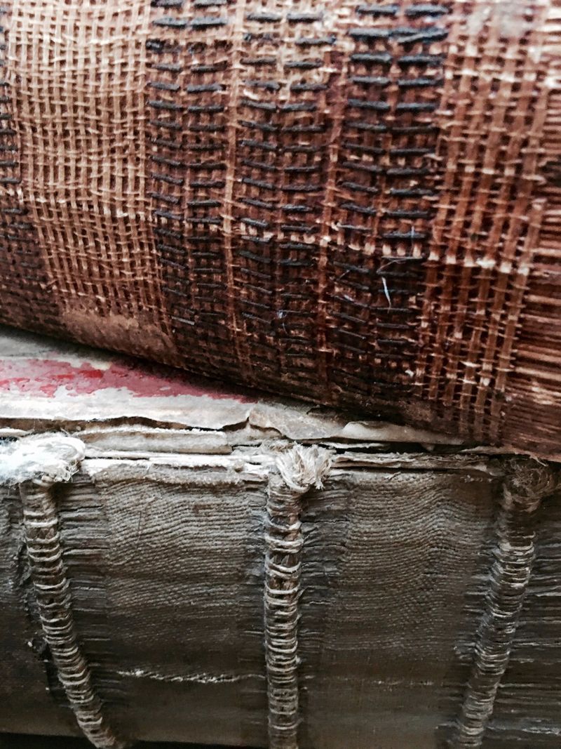200 hundred year old book spines