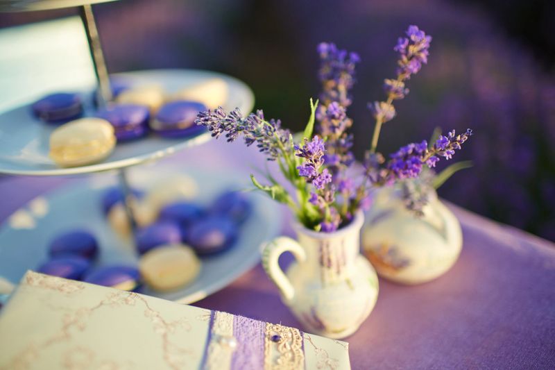 Table decoration in lavender flowers.Table decoration in lavender flowers.