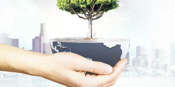 Hand holding a half globe with a tree growing on it, symbolizing environmental care.
