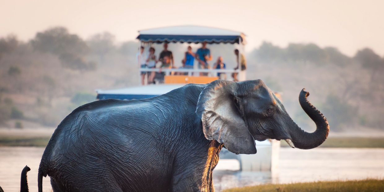 ВЕЛИКИЕ РЕКИ – 14-ДНЕВНОЕ ПУТЕШЕСТВИЕ ПО ДИКОЙ МЕСТНОСТИ НАМИБИИ. Omeya Safaris &amp; Tours.