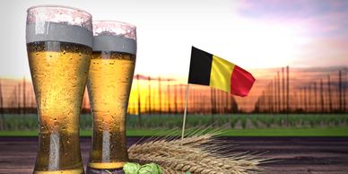 Two glasses of beer with hops, barley, and a Belgian flag at sunset.