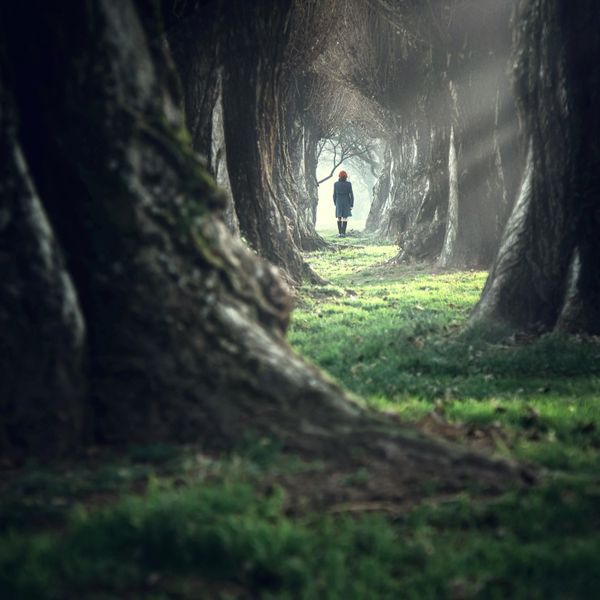 A person walking through a mystical tree tunnel with sunlight filtering in.