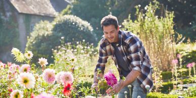 Man gardening outdoors with flowers.