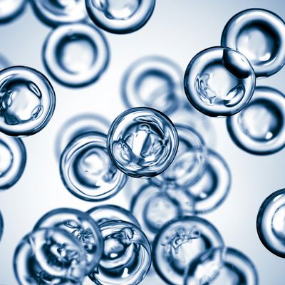 Blood cells