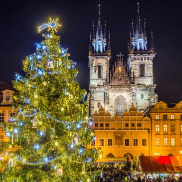 Large Christmas tree illuminated at night in a historic town square.
