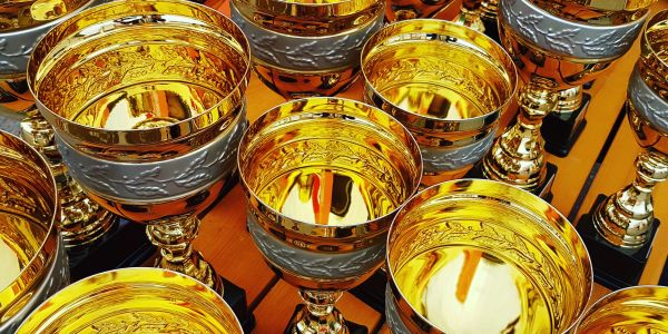 Shiny gold and silver trophies arranged on a wooden surface.