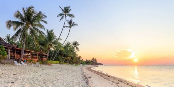 Sunset over a serene tropical beach with palm trees and empty chairs.