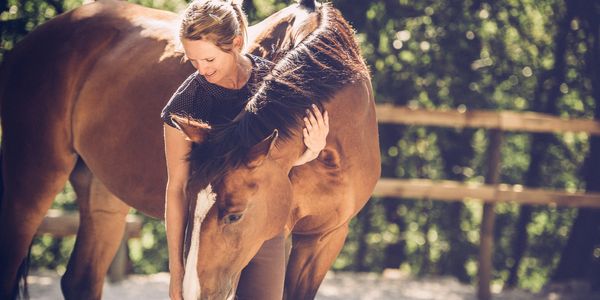 A woman affectionately hugs a brown horse outdoors in sunlight.