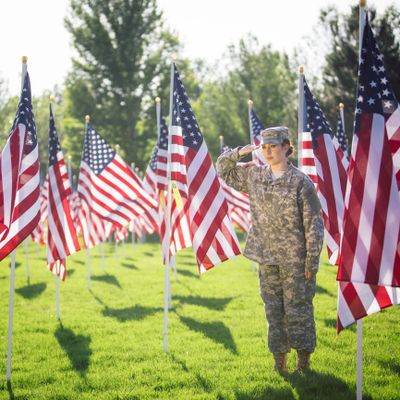 Soldier saluting among American flags on a sunny day.