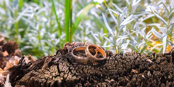 Image of wedding bands in a nature area outside