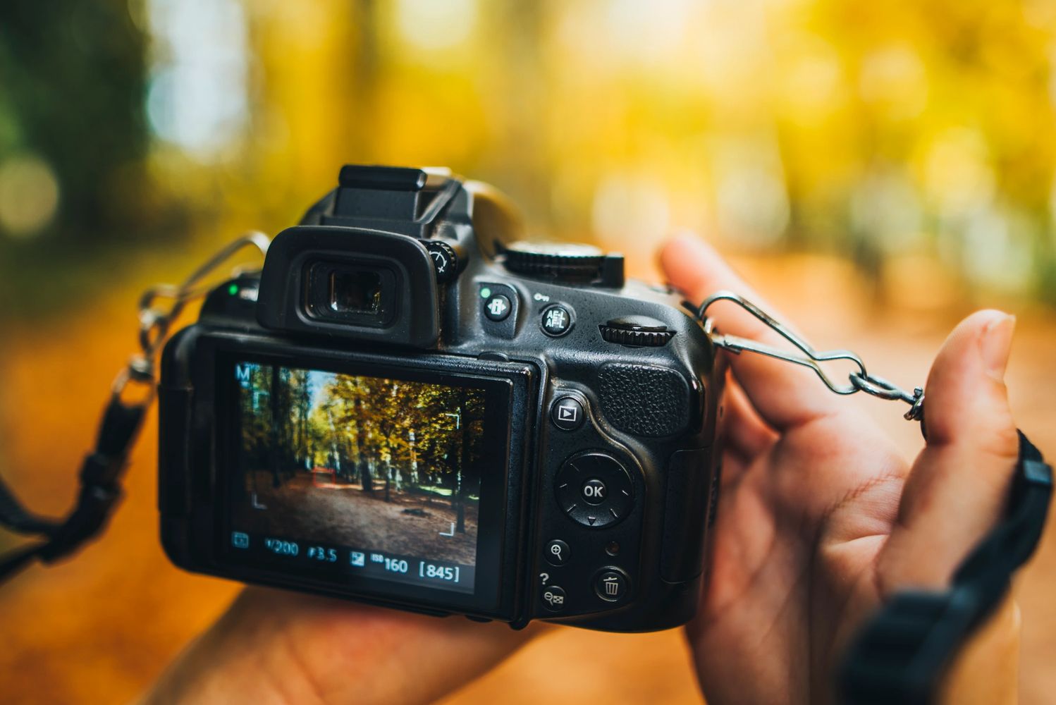 A camera capturing an autumn scene.
