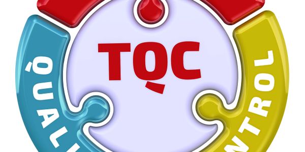 Colorful puzzle pieces forming the word TOC with Quality and Control sections.