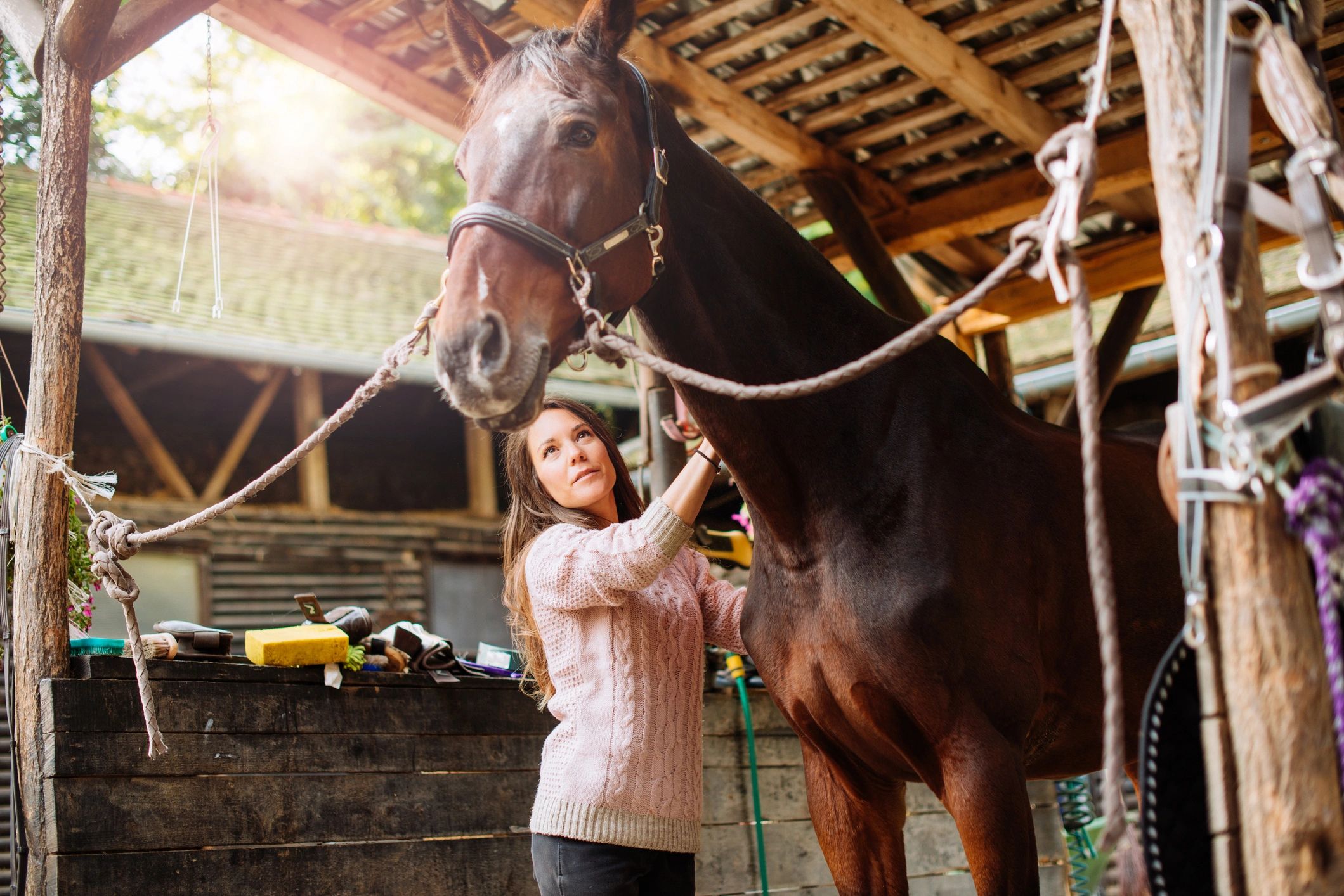 Child caring for a horse at Patch’s Place