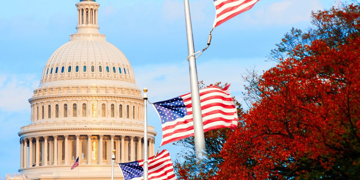 American flags waving near the Capitol dome with autumn trees.
