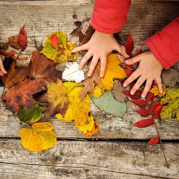 Child's  hands sorting through a collection of leaves on a wooden surface.