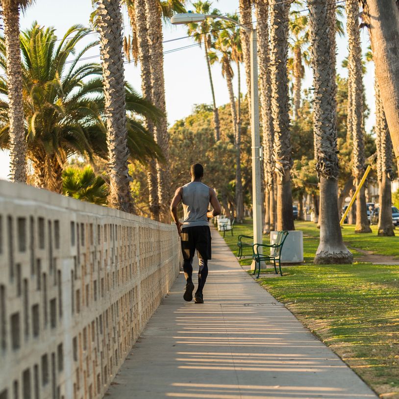 Man jogging on a palm tree-lined sidewalk during golden hour.