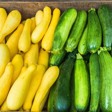 Crisp, colorful vegetables — hand-selected for freshness, quality, and chef-ready performance.