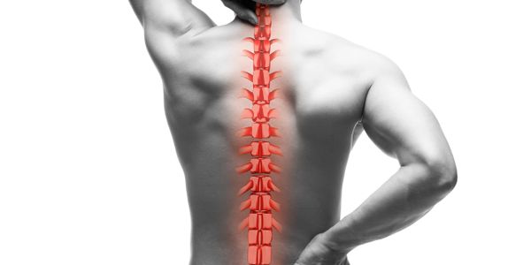 Human back with highlighted red spine showing spinal anatomy.