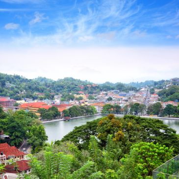 Panoramic view of a town with a lake and lush greenery.