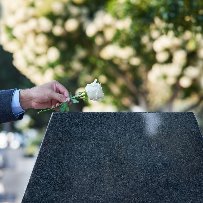 Cropped shot of a man placing a white rose on a grave