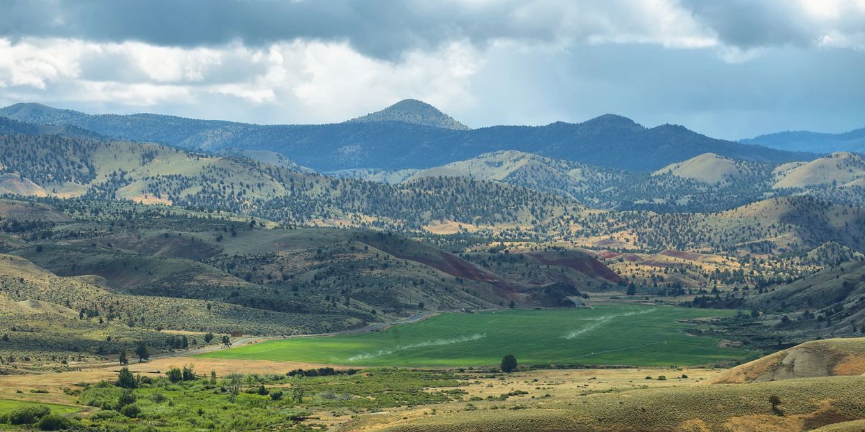 Overview of rolling hills in Eastern Oregon.
