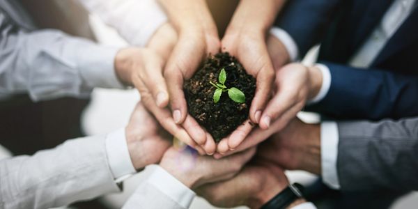 Des mains unies avec une pousse de plante