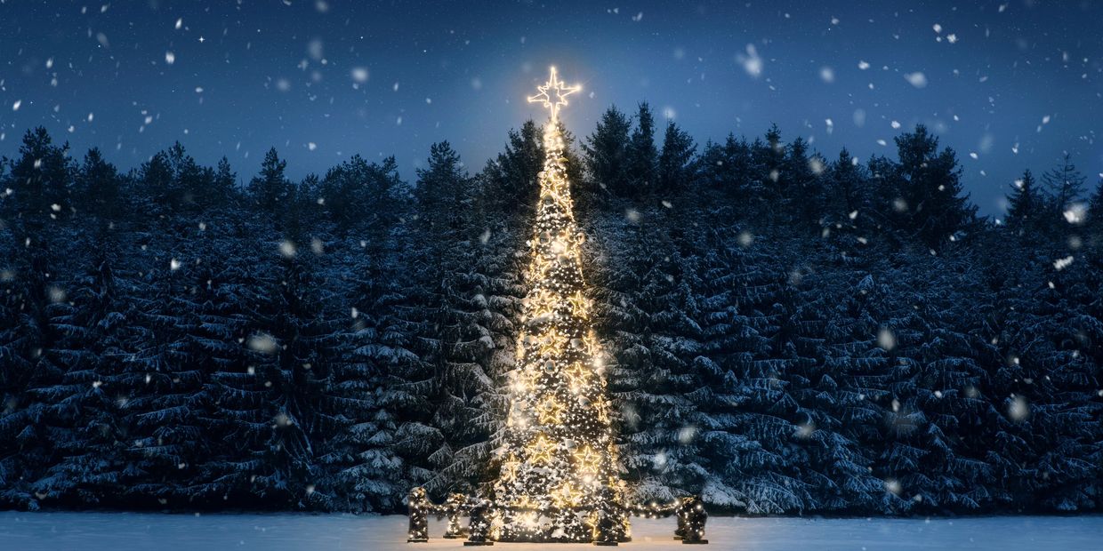 A glowing Christmas tree lights up a snowy forest at night.