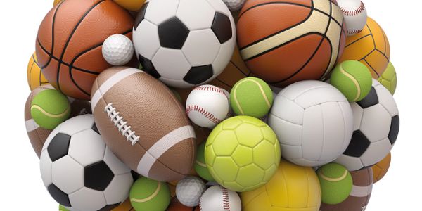 야구,농구,배구,골프,축구는 모든 사람들이 본인이 신체에 맞는 운동을 선호하게되지