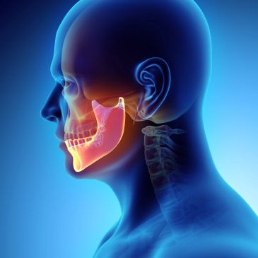 3D side view X-ray of a human head highlighting the jawbone.